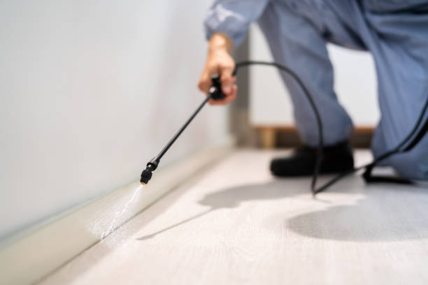 Licensed Fumigation Services service in Apple Valley, CA - Nex Pest Control